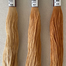 Load image into Gallery viewer, DMC Floche