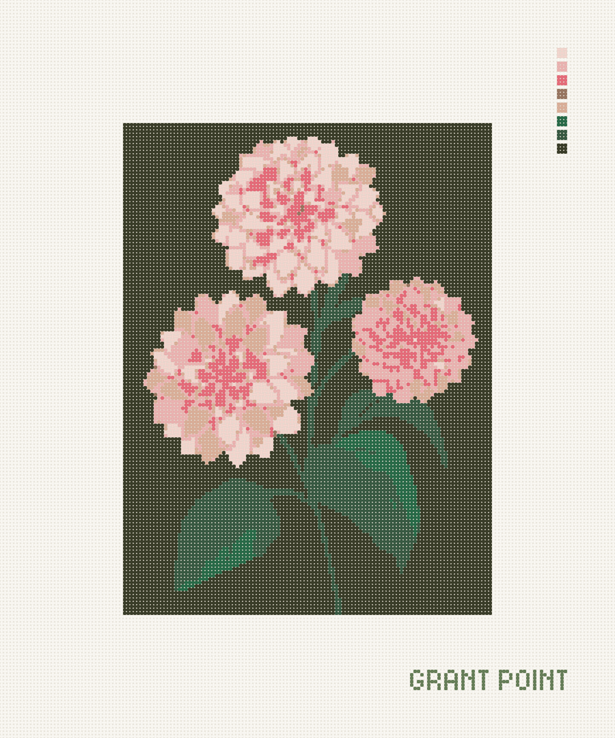 Dahlias