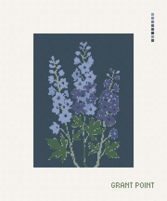 Delphinium