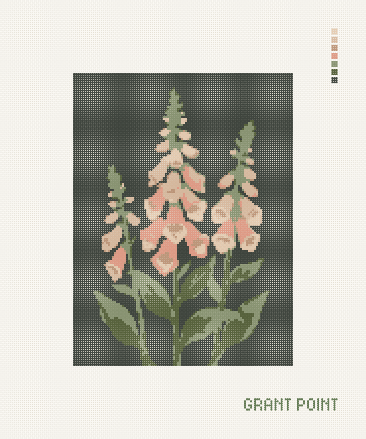 Foxglove